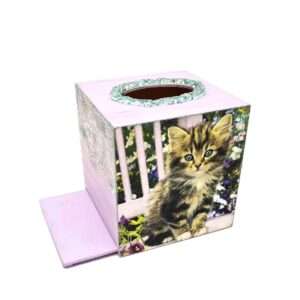 kouti-xartomantila-gata-katikidio-2