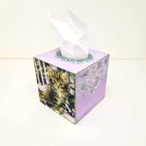 kouti-xartomantila-gata-katikidio-4