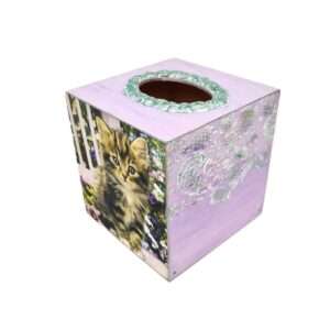 kouti-xartomantila-gata-katikidio-5