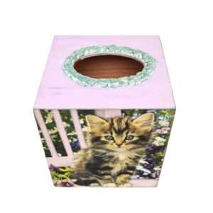 kouti-xartomantila-gata-katikidio-8